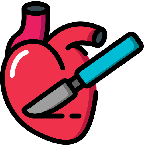 Cardiac Surgeon